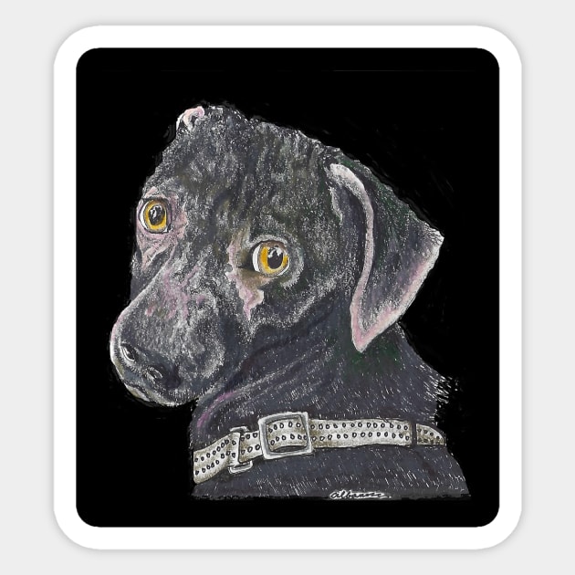 North, the fashion model dog Sticker by Dr. Mary